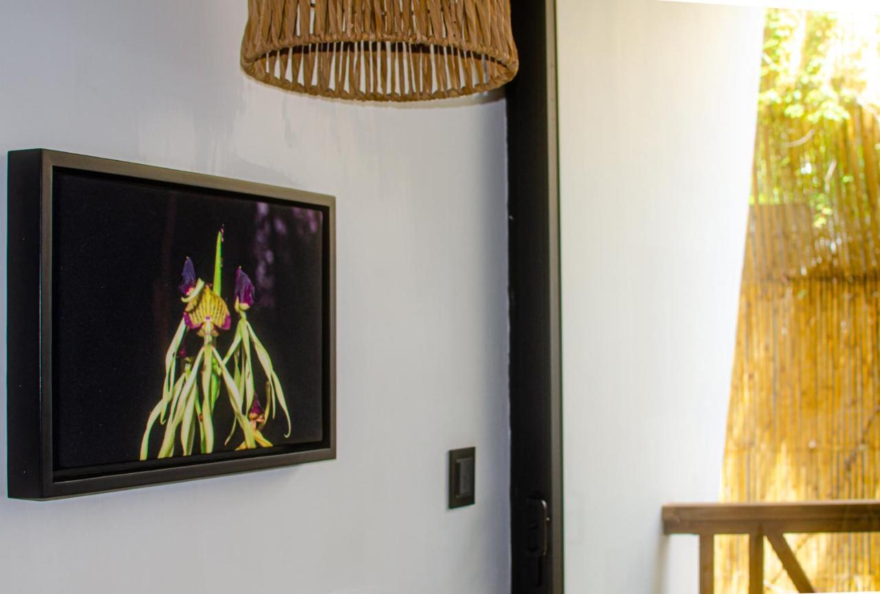 Ximena Hotel Boutique Sayulita Buitenkant foto